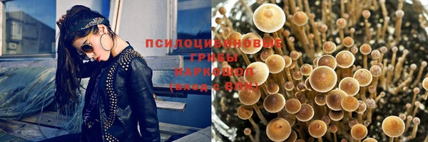 индика Россошь