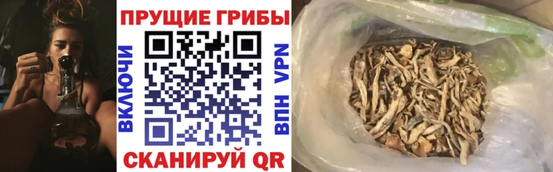 Галлюциногенные грибы мухоморы  Кумертау 